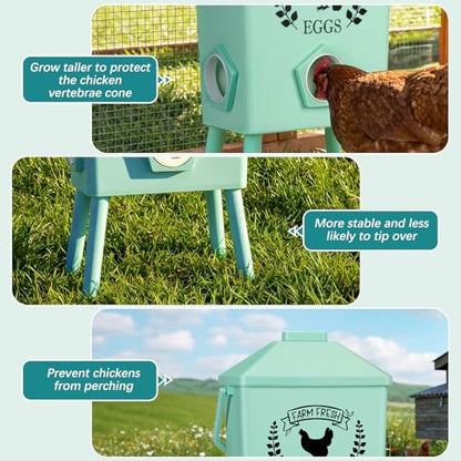 Tgeyd 4.2-Gallon Gravity Chicken Feeder & Waterer Set – No-Waste Poultry Feeder with Automatic Water Dispenser, Rainproof Lid, Raised Stand Legs & Anti-Roost Cone