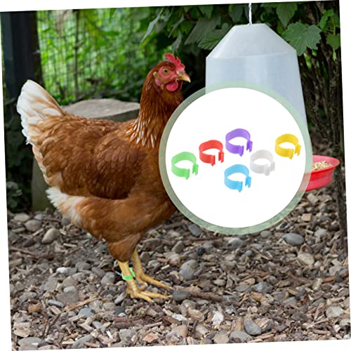 balacoo 360pcs Poultry Identification Multi Foot for Chickens and Geese Easy to Use and Remove Leg Bands for Bird Marking Random Color