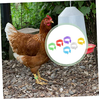 balacoo 360pcs Poultry Identification Multi Foot for Chickens and Geese Easy to Use and Remove Leg Bands for Bird Marking Random Color