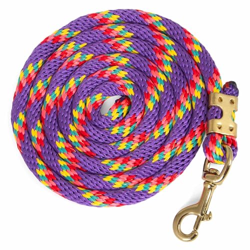 Jeffers Equine Poly Horse Lead Rope, 5/8" x 8', Heavy Duty, Durable Lead Rope with Bolt Snap, Rust Resistant Brass Hardware for Horses - Training, Grooming, & Equestrian Accessories - Purple - color: Purple with Spiral Pattern, size: 5/8inch x 8inch