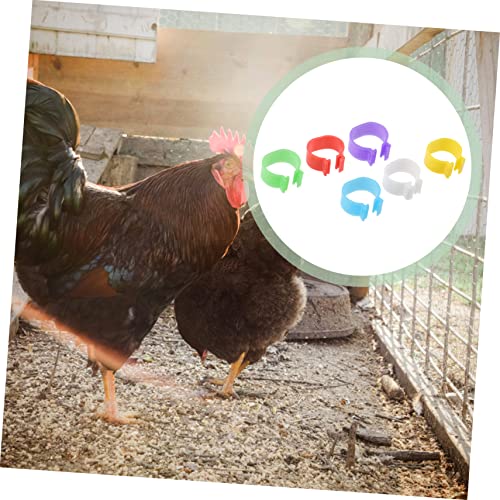 balacoo 360pcs Poultry Identification Multi Foot for Chickens and Geese Easy to Use and Remove Leg Bands for Bird Marking Random Color