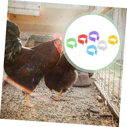 balacoo 360pcs Poultry Identification Multi Foot for Chickens and Geese Easy to Use and Remove Leg Bands for Bird Marking Random Color