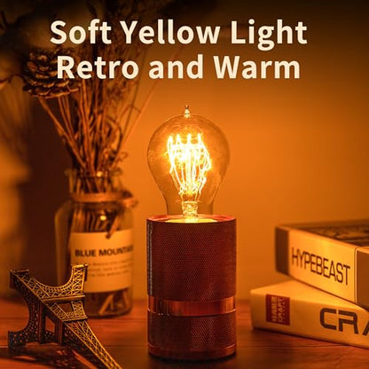 Warm Incandescent Light Bulbs 60 Watt,A19/A60 Vintage Style Edison Bulbs E26,Soft Yellow Light Bulbs,Amber Bulbs,Retro Light Bulb Old Fashioned,Halogen Dimmable Edison Bulb Squirrel Cage - size: 4 Count (Pack of 1)