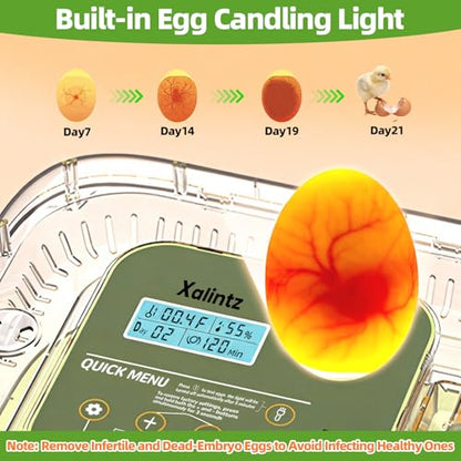 Automatic 12 Egg Incubator - Digital Temperature/Humidity Display, Hatch Day Countdown, Auto Egg Turner & Candler with 360° View for Hatching Chicken, Duck, Quail Eggs