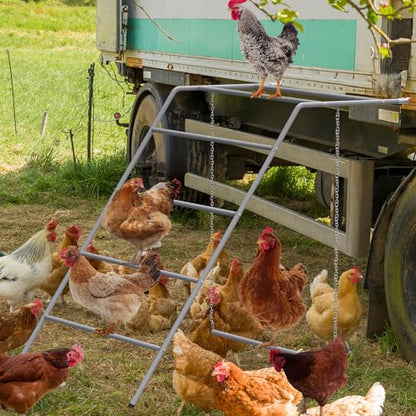 Chicken Perch for Coop 4 Step Chicken Roosting Bars with Swings, Metal Poultry Roost Ladder for Hens, Chickens & Poultry, Gray