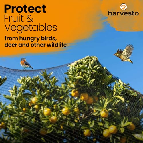 Harvesto Heavy Duty Bird Netting for Chicken Coops & Runs | Tree & Garden Netting Mesh 1-1/2" | Keep Hawks, Birds & Predators Away | Bird Netting for Blueberry Bushes, Vegetables & Fruit (50' x 100') - size: 100 x 50 ft
