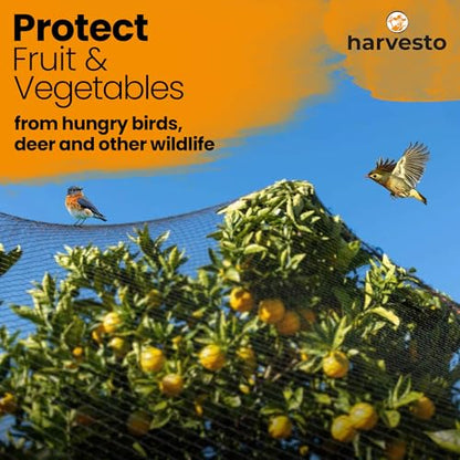 Harvesto Heavy Duty Bird Netting for Chicken Coops & Runs | Tree & Garden Netting Mesh 1-1/2" | Keep Hawks, Birds & Predators Away | Bird Netting for Blueberry Bushes, Vegetables & Fruit (25' x 100') - size: 25 x 100 ft