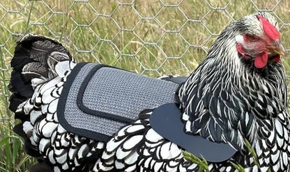 DOWN UNDER OUTDOORS Chicken Saddle with Adjustable Straps for Medium and Large Hens, Chicken Apron, Poultry Saver, Pet Supplies, Including Shoulder Cover (Grey Mesh) - color: Grey Mesh