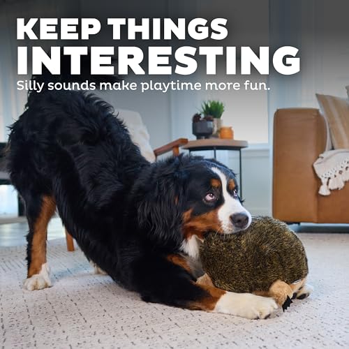 Outward Hound Hedgehogz Stuffed Dog Toy – Soft Plush Hedgehog, Grunts & Squeaks, XL, 12" x 8.5" x 9" - size: X Large (Pack of 1)