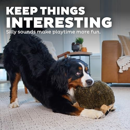 Outward Hound Hedgehogz Stuffed Dog Toy – Soft Plush Hedgehog, Grunts & Squeaks, XL, 12" x 8.5" x 9" - size: X Large (Pack of 1)