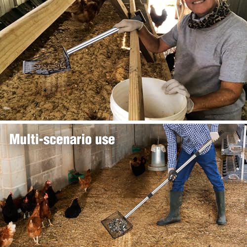 BABORUI 10 Inch Large Chicken Poop Scooper, Adjustable Litter Scooper for Chicken, Detachable Stainless Steel Heavy Duty Poop Shovel, Chicken Coop Cleaning Tools and Accessories
