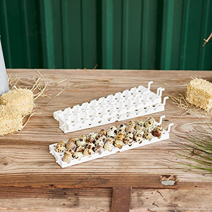 Farm Innovators 3400 Replacement Tray Rail for 120 Quail and Small Eggs (6 Pack) with 2450 Digital Circulated Air Incubator & Auto Egg Turner, White