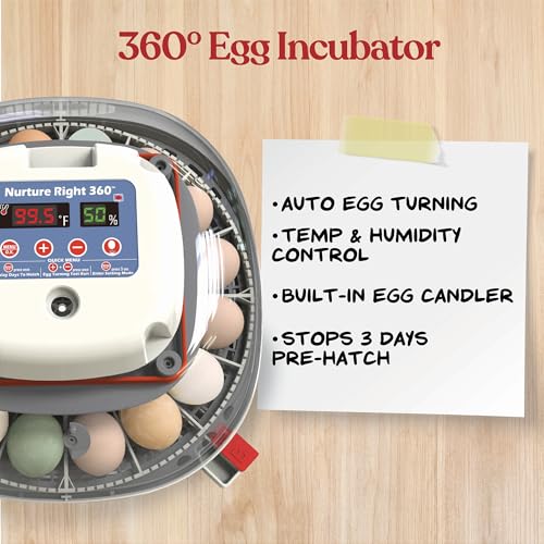 Harris Farms Nurture Right Egg Incubator for Hatching Chicks, Holds 12-22 Eggs, Automatic Turner with Temperature and Humidity Control, 360 Degree View with Clear Window, Incubator for Hatching Eggs