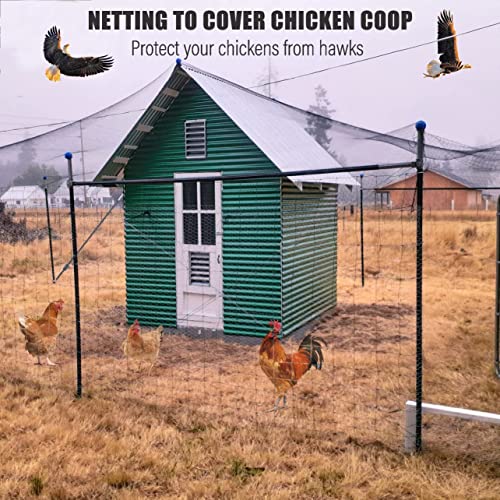 Bird Netting for Chicken Coop - 50x50ft Poultry Netting Over Chicken Run & Chicken Pen, Heavy Duty 2.4” Mesh Garden Net for Blueberry Bushes, Fruit Trees and Vegetable Against Birds, Deer, Squirrels - size: 50'×50'-2.4''