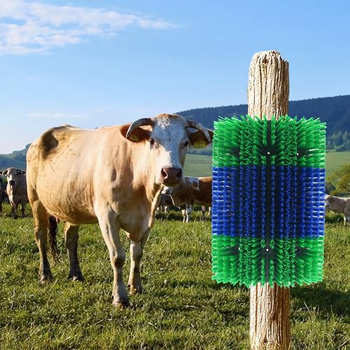 Livestock Scratching Brush 2 Pcs, Heavy Duty Horse Brush with Mounting Screws, Itch Relief & Grooming for Cattle Goat Pig Cow, Farm Animal Back Scratcher, Blue & Green - color: Blue green 2