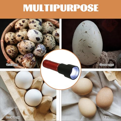 POPETPOP Incubator Egg Candling Lamp with Cool Bright Led Light Portable Egg Tester for Chicken Fertility Check Indoor Outdoor Use
