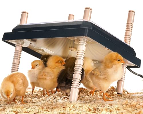 Longhzuo Chicken Brooder Plate for Chicks, Temperature Range 90°F-104°F, Adjustable Heights Chicken Heater, Heat Plate for 15 Chicks (10" X10")
