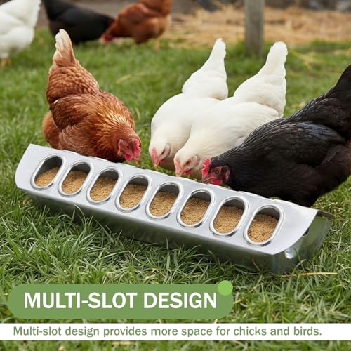 Potchen 2 Pcs Slide-top Poultry Feeder Durable Galvanized Metal Chicken Feeder Trough with Removable Top Trough Multi-Hole Tray for Pigeon Quails Duckling Birds Duck Chicken(12 Inch) - size: 12 Inch