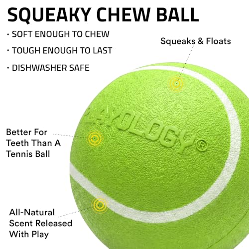 Playology Dog Toys | Squeaky Chew Ball for Dogs, Value 3-Pack | Sweet Potato Scented Small Dog Balls | Bouncy Floating Chew Toys for Fetch - size: Small (VALUE 3-Pack), style: Sweet Potato
