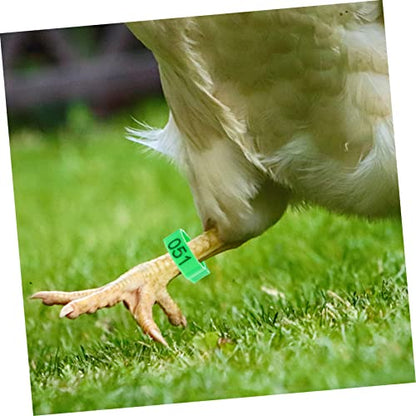 Yardwe 200pcs Chicken Leg Bands Poultry Leg Ring Bird Accessories Identification Rings for Chicks
