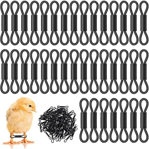 Chicken Leg Bands 600 Pcs Adjustable Chicken Leg Band, for Baby Chick 150 Pieces Hobble Braces, Poultry Spraddle for Newborn Chicks of 1 to 3 Days