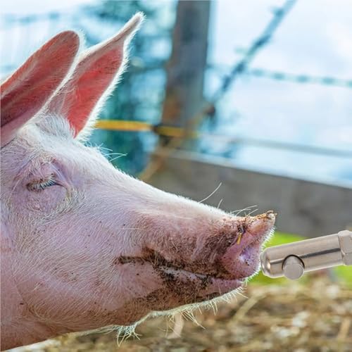 Pig Water Nipple 2Pcs Automatic Stainless Steel Pig Waterer Nozzle Thickened Anti-Splash Piglet Drinking Dispenser Livestock Farm Heavy-Duty Nipple(8X2.6X2CM) - size: 8X2.6X2CM