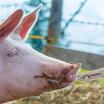 Pig Water Nipple 2Pcs Automatic Stainless Steel Pig Waterer Nozzle Thickened Anti-Splash Piglet Drinking Dispenser Livestock Farm Heavy-Duty Nipple(8X2.6X2CM) - size: 8X2.6X2CM