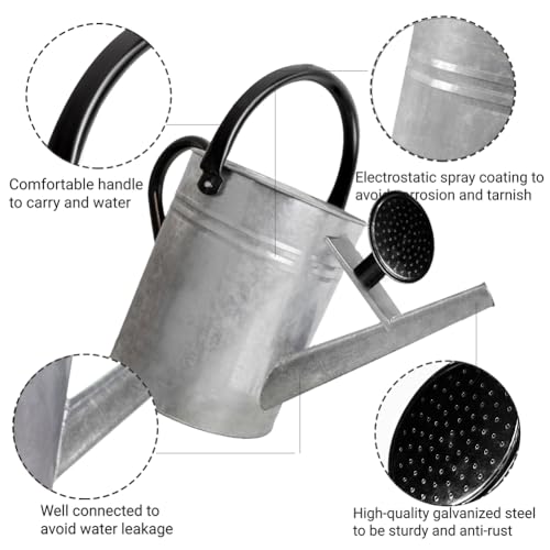 1 Gallon Metal Watering Can with Removable Spout, Nice Galvanized Steel Water Can for Indoor and Outdoor Plants (House Plants) - color: Silver