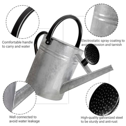 1 Gallon Metal Watering Can with Removable Spout, Nice Galvanized Steel Water Can for Indoor and Outdoor Plants (House Plants) - color: Silver