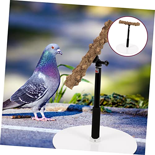 Happyyami Parrot Training Stand Bird Perch Adjustable Height Bird Plaything Parakeet Cage Accessory Safe