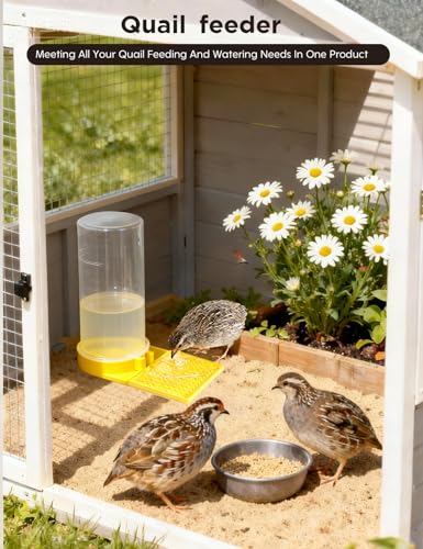 Large Capacity Quail Water Feeder,Button Quail Supplies for Quails Cage, Multi-Use as Quail Feeder, Quail Waterer, Chick Waterer,Baby Chick Waterer, Ideal Quail Feeders for Baby Bird
