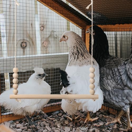 Chicken Swing Toy, Natural Wooden Chicken Bird Swings with Wooden Beads, Wood Stand Chicken Coop Accessories for Poultry Run Rooster Hens Chicks Pet Parrots