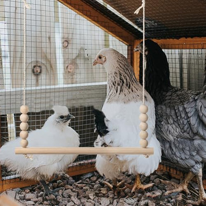 Chicken Swing Toy, Natural Wooden Chicken Bird Swings with Wooden Beads, Wood Stand Chicken Coop Accessories for Poultry Run Rooster Hens Chicks Pet Parrots