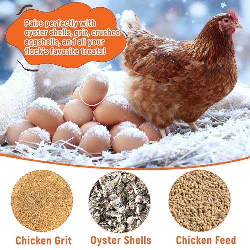 Chicken Grit and Oyster Shell Feeder, 2 Pack No Waste Hanging Chicken Feeder Combo, Waterproof ABS Automatic Gravity Poultry Feeder with Lid Rounded Edges, Coop Accessories for Healthier Hens and Eggs