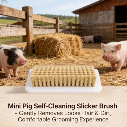 2 Pcs Pig Enrichment Toy, Mini Pigs Self Cleaning Slicker Brushes, Pet Grooming Brush & Scratch Toy 2-in-1 for Mini Pig, Dogs, Cats