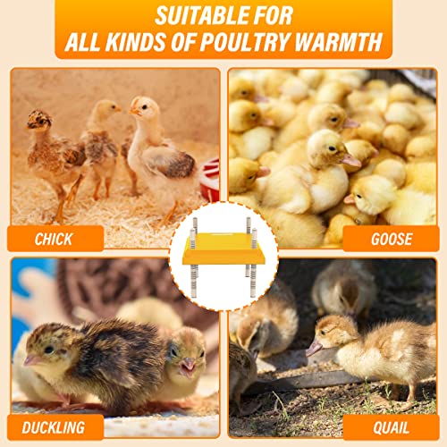Chick Brooder, Chick Brooder Heating Plate, Chick Incubator Heating Lamp, Height Adjustable, Suitable for 15 Chicks.