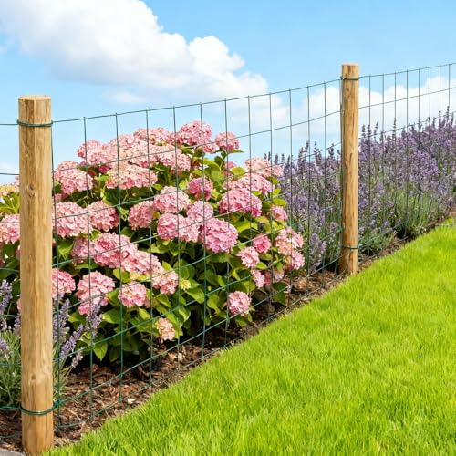 Wire Mesh Roll for Poultry Cages 36IN x50FT- Heavy Duty Fencing Net for Farm Garden Animal Plant Protection, Chicken Wire Fence, Easy to Install Fencing for Rabbits, Birds, Vegetables (Green) - color: Green