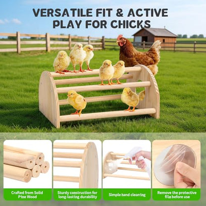 Pine Chicks Perch with Mirror, Strong Chick Jungle Gym Roosting Bar, Chicken Perch Toys for Coop and Brooder, Training Perch Toys for Large Bird, Parrot, Macaw, Hens (Large) - size: Large
