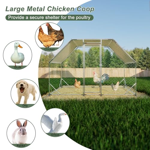 Large Metal Chicken Coop, Walk in Chicken Coops with Run, Heavy Duty Chicken Runs for Yard with Cover, Outdoor Farm Duck Rabbit Cage Poultry Pen (9.94 ft x 6.46 ft)