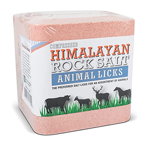 Salt Block for Deer & Horses – Compressed Mineral Salt Lick for Livestock, Cattle & Goats – Himalayan Secrets Pink Rock Salt Block (2.5LB/2KG, Block w/Mounting Hole) - size: 5.5 Pound (Pack of 1)