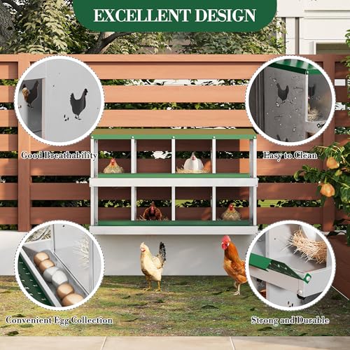 8-Room Galvanized Metal Chicken Nesting Boxes - Rustproof Poultry Laying Boxes with Perch Rod & 8 Fake Training Eggs, Durable Hen Nest Boxes for Chicken Coops, Easy to Clean, Hens Laying Eggs, Green