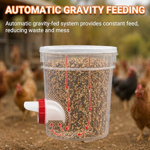 Chicken Feeder Port Kit 6 Pack, Cilkus DIY Automatic Poultry Feeder Cups for Buckets & Bins, No Waste Gravity Feed Chicken Feeder Ports with Covers for Hens, Ducks and Poultry (6-Pack) - size: 6-Pack
