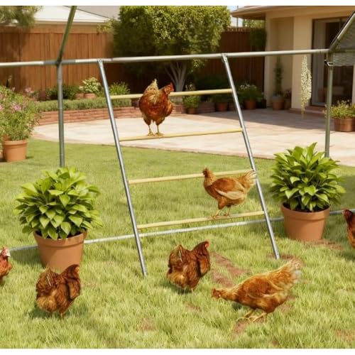 Chicken Roost for Coop, Galvanized Steel & Wood Jungle Gym with Four Height-Adjustable Tiers, 55" L x 33.75" W Roosting Bars for Hens, Ladder for Easy Assembly (22 lbs Capacity)