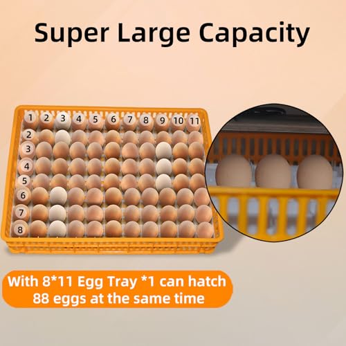 XKV 88 Egg Large Incubator with Automatic Egg Turning,Temperature Control and Humidity Control,Hatching Eggs,Chicken,Ducks,Poultry,with a Viewing Window,Easy to use - size: 88 Egg-152L