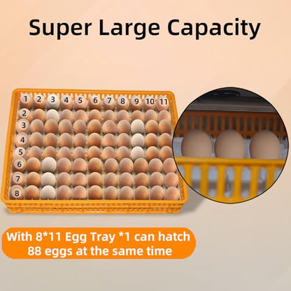 XKV 88 Egg Large Incubator with Automatic Egg Turning,Temperature Control and Humidity Control,Hatching Eggs,Chicken,Ducks,Poultry,with a Viewing Window,Easy to use - size: 88 Egg-152L