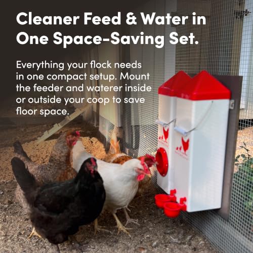 RentACoop High Rise Chicken Waterer and Feeder Set - 10lbs/2 Gal