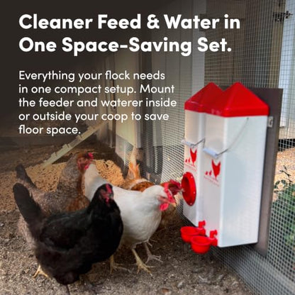 RentACoop High Rise Chicken Waterer and Feeder Set - 10lbs/2 Gal