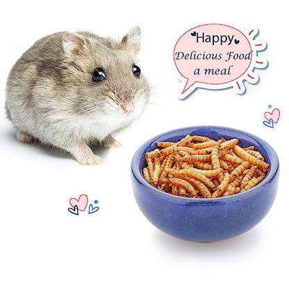 2 Pack Hamster Feeding Bowl, Hedgehog Ice Crack Design Ceramic Dish, Rat Gerbil Small Animal Food and Water Bowl (Colors May Vary)