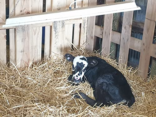 Safe Heater for Chicks, Coops, & Animals, OH11x40, 150 Watt