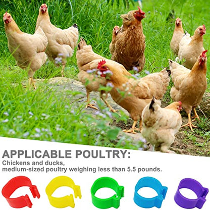200Pcs 16mm Chicken Leg Bands Identification Leg Bands for Chickens Poultry Leg Bands Rings 8/16/20/25mm - size: 16mm - 200Pcs